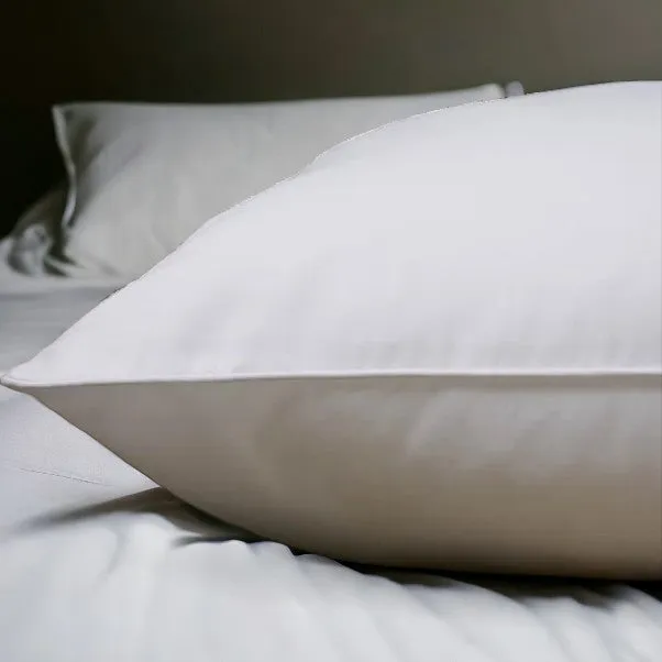 2 Pack Ultra Stain Resistant Pillows High Density
