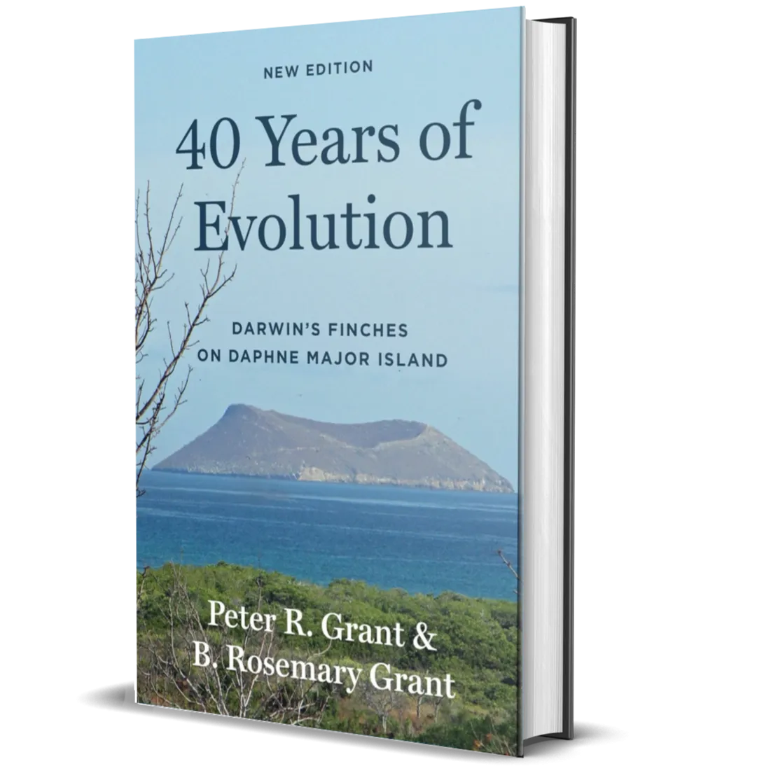 40 Years of Evolution: Darwin's Finches on Daphne Major Island