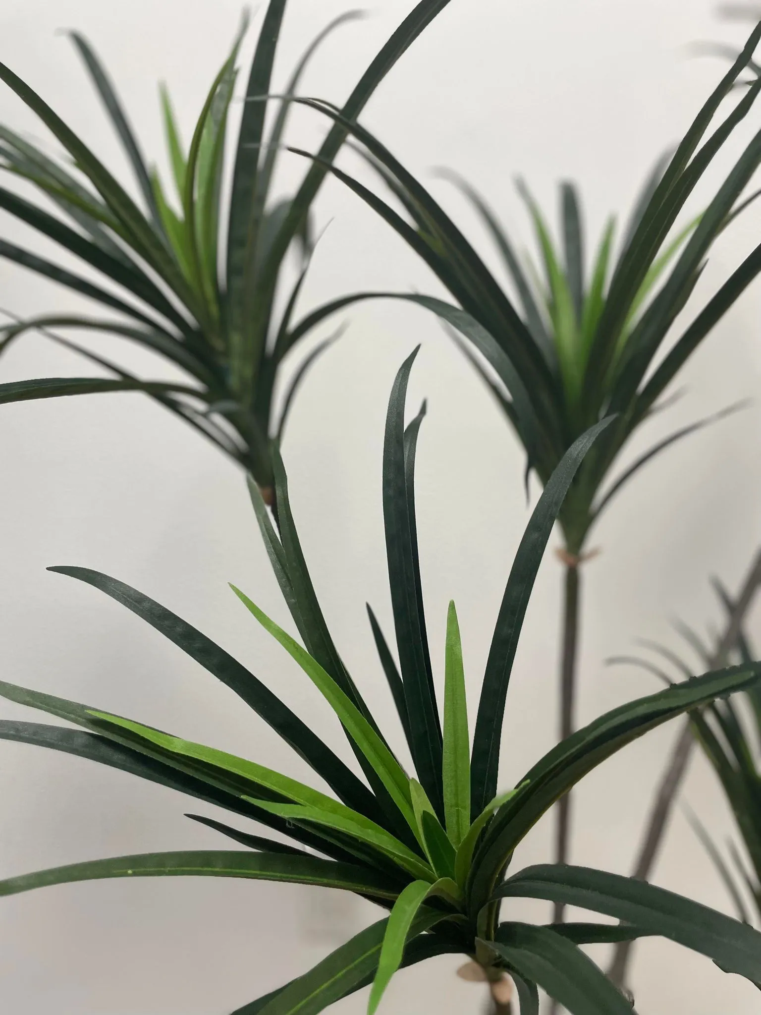 Artificial Yucca Plant 5.3 ft (160cm)