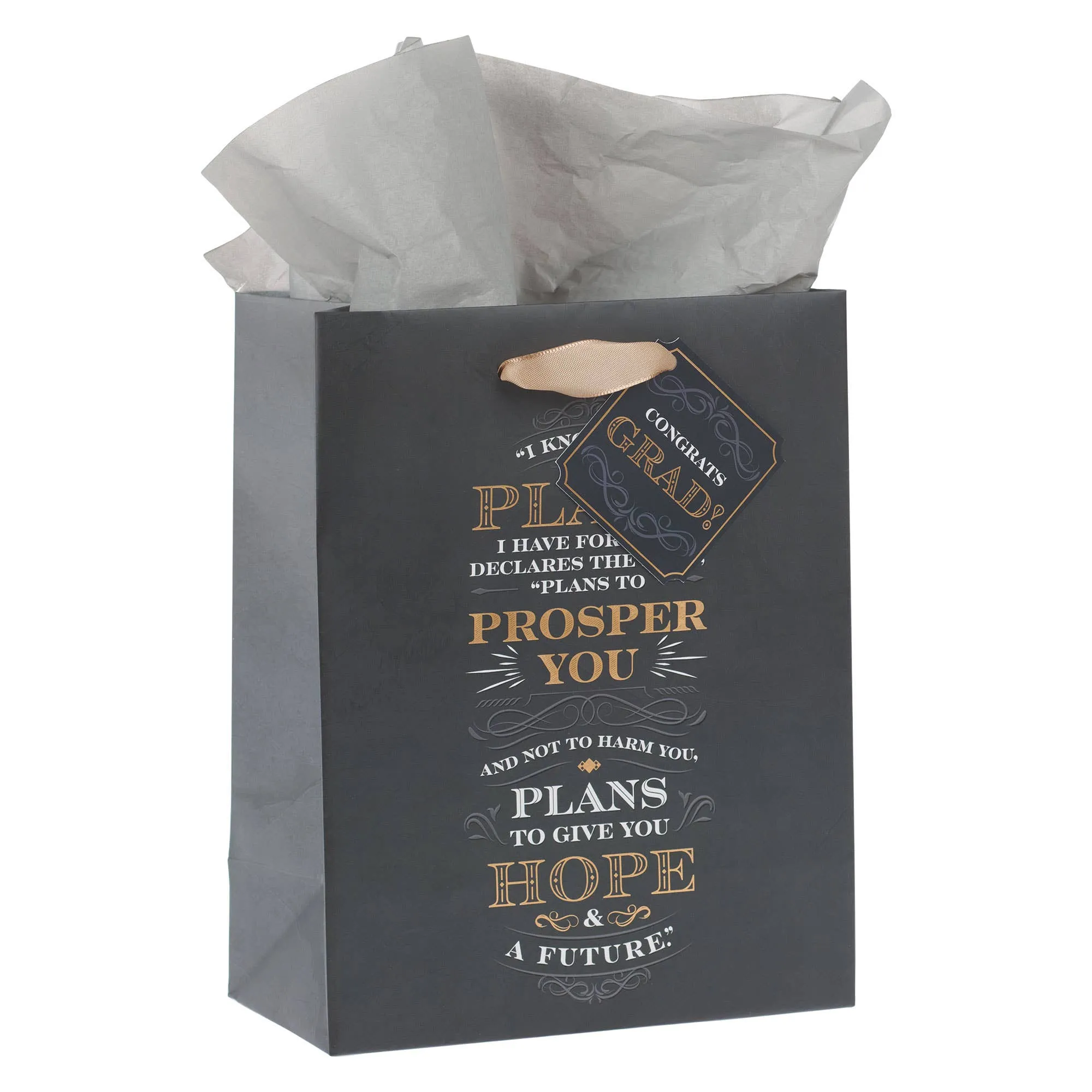 I Know the Plans Gray Medium Gift Bag - Jeremiah 29:11