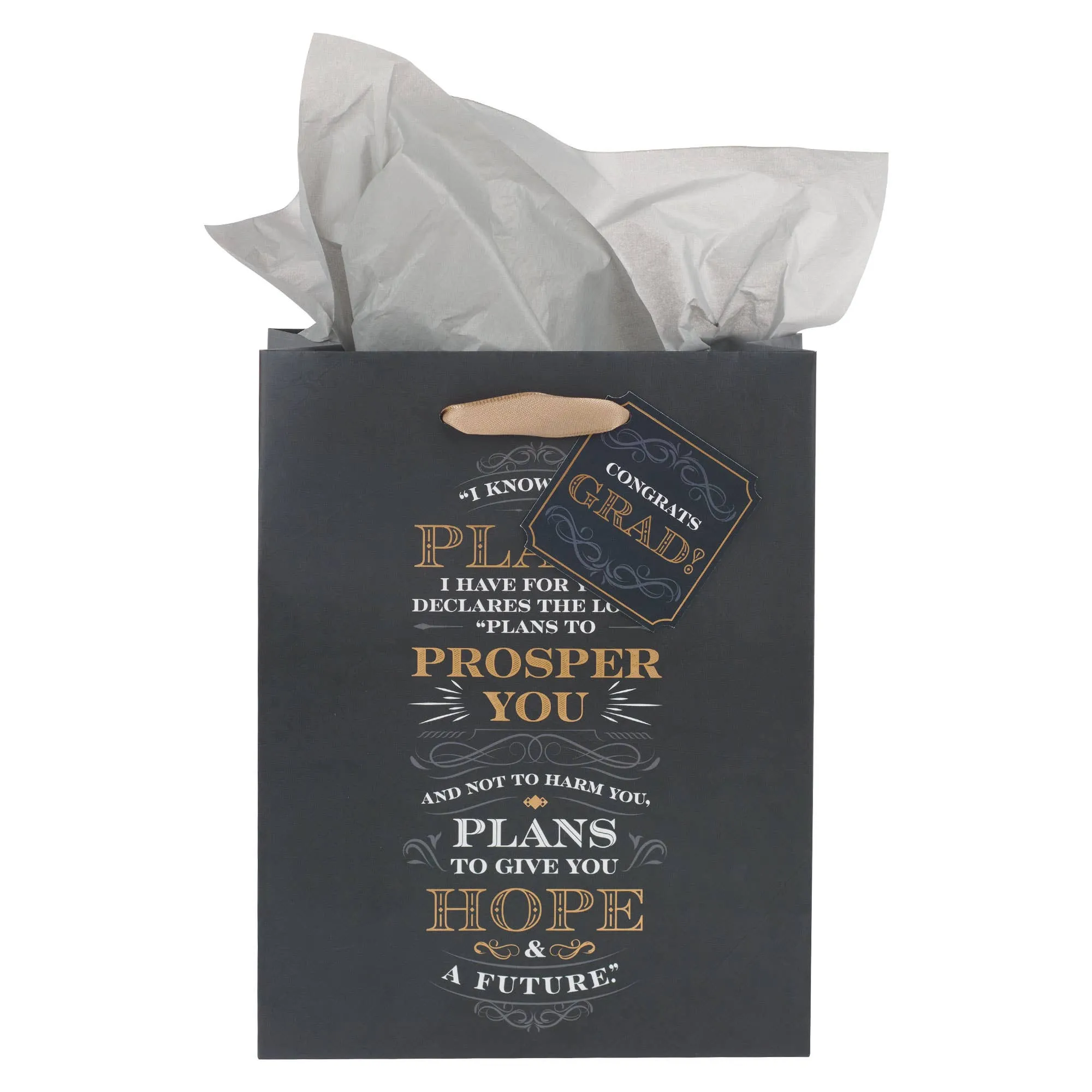 I Know the Plans Gray Medium Gift Bag - Jeremiah 29:11