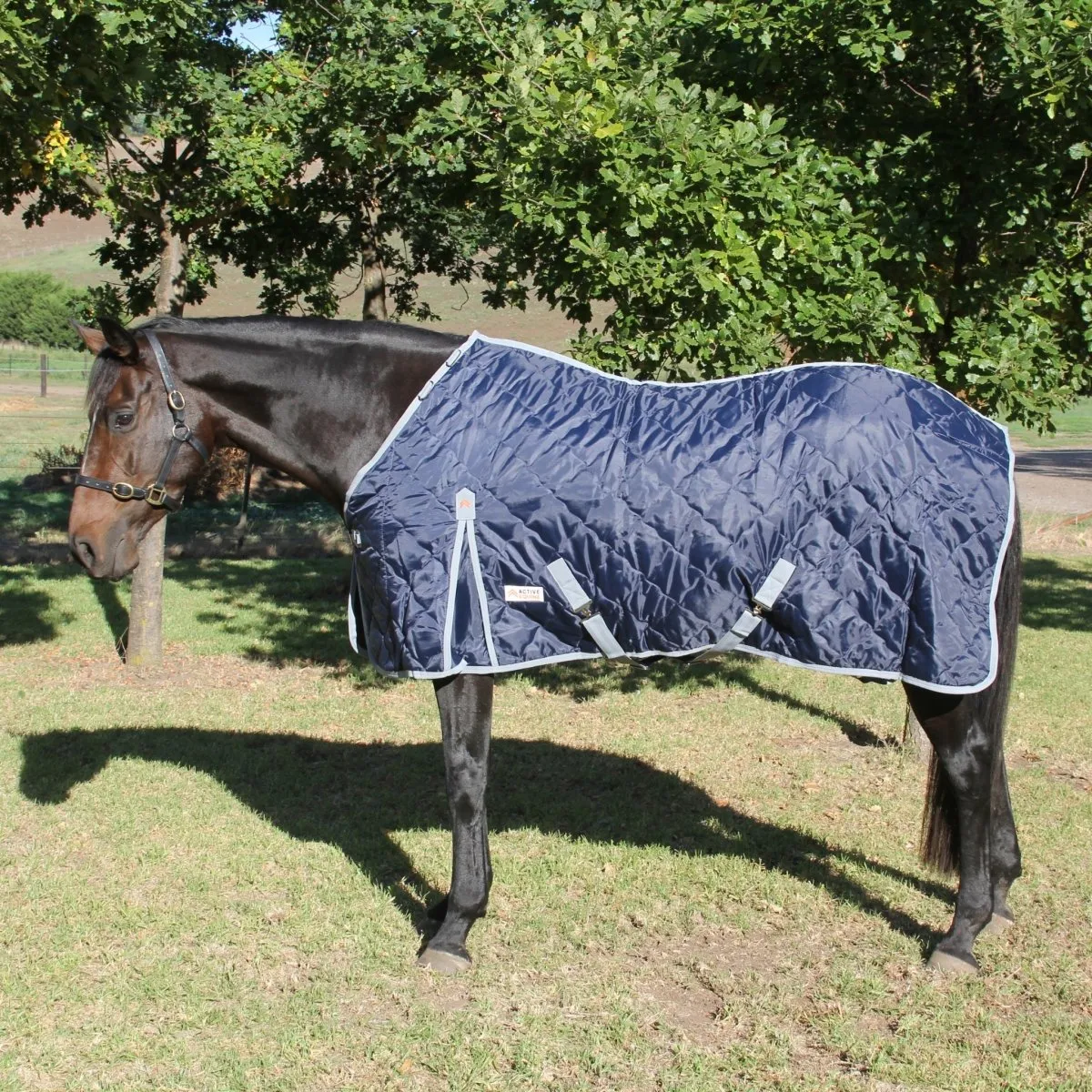 Quilted Stable Rug with Detachable Neck | Active Equine
